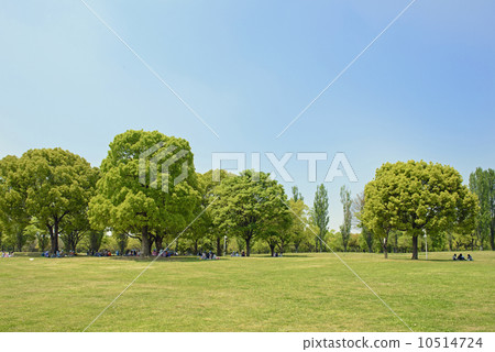 Fresh green park Fresh green park 10514724