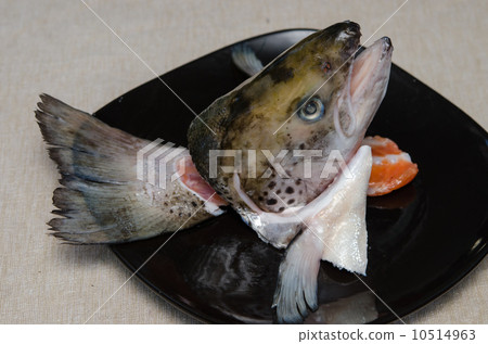 珊瑚鱒魚頭 10514963