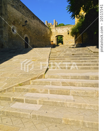 Pedralbes Monastery in Barcelona 10515541