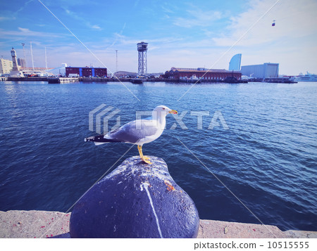 Port in Barcelona 10515555