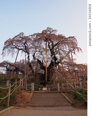 Morning café of cascading waterfall 10516804