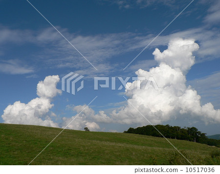 大農場的冰雲1 10517036