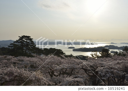 Matsushima Bay West returning Matsu Park 10519241