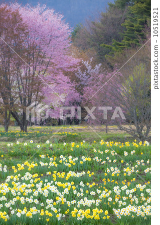 光州寺 光州寺 10519521