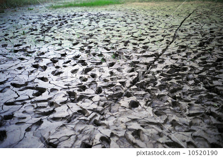 Muddy 10520190