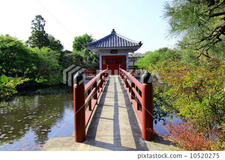 Benten Pond of Oruyama Benten Pond of Oruyama 10520275