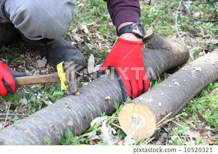 Mushroom sterilization work Mushroom sterilization work 10520321