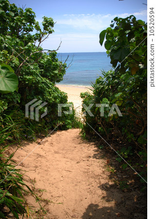 Beach on Hamahigajima 10520594