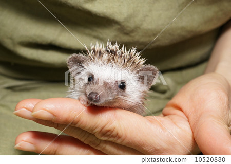 Yohtsuyu Biagini Yohtsuyu Biagini 10520880