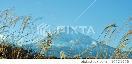 Natural landscape of Japan · withering snow scooping in the foreground Crown of snow Fuji · Horizontal position 10521966