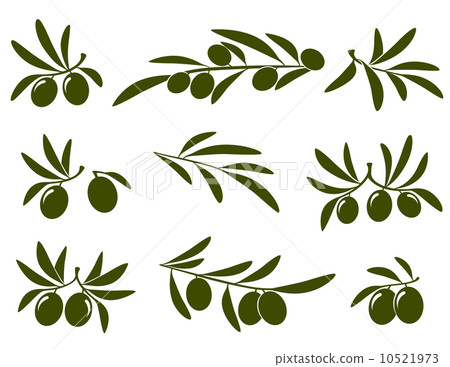 olive branch set olive branch set 10521973
