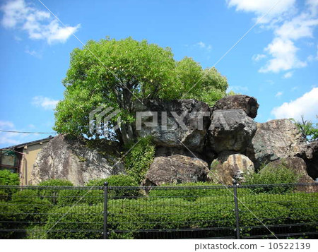 Serpento tomb 10522139