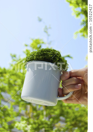 Green Green 10522427