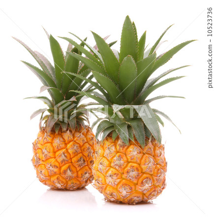 Pineapple tropical fruit or ananas Pineapple tropical fruit or ananas 10523736