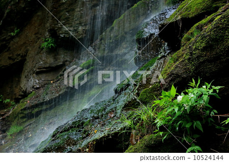 Mountain stream 10524144