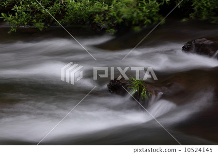 Mountain stream 10524145