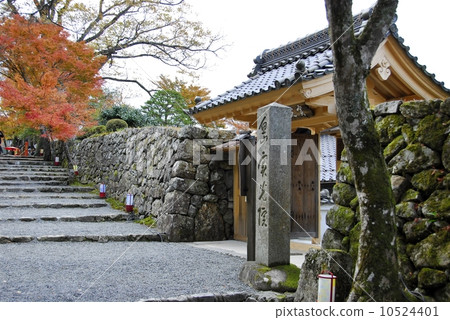 京都Gunkoin門門的風景看法 10524401
