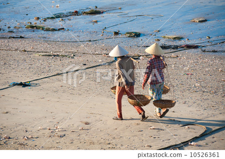 Vietnam life 10526361