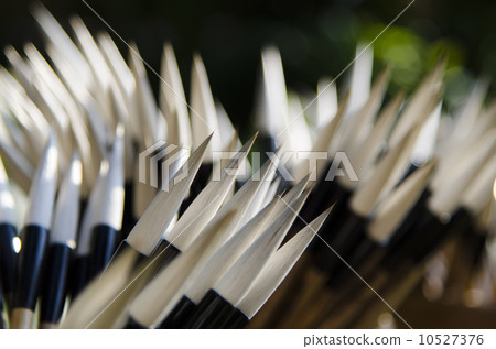 Drying of a brushlet 10527376
