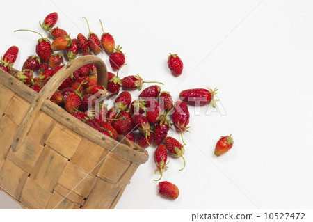 strawberry on the white background strawberry on the white background 10527472