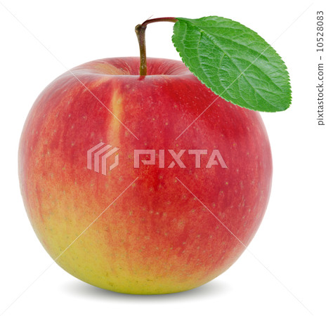 apple with green leaf 10528083
