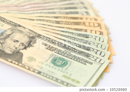 Dollar banknotes 10528980