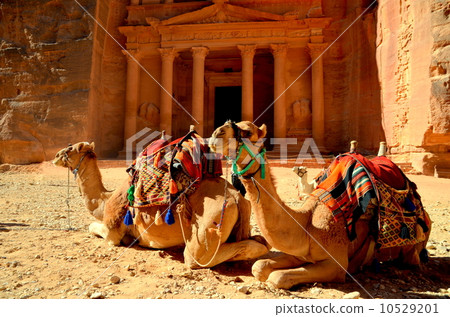 Camel ruins camel 10529201