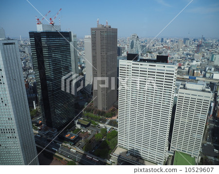 從東京都政府觀看 從東京都政府觀看 10529607