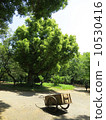 Landscape with fresh green and rear car 10530416