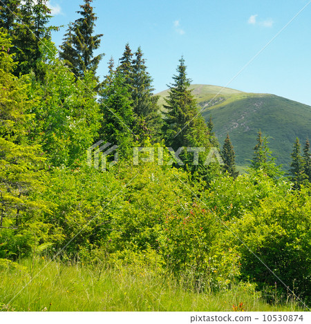 mountain peaks against the blue sky 10530874