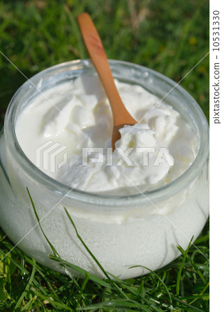 Yogurt 10531330
