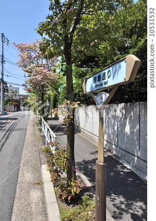Komaba街 Komaba街 10531532