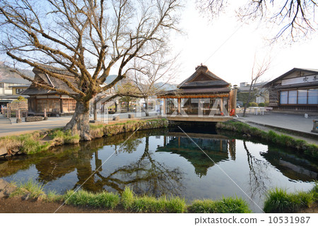 Oshino Hakkai Ichiba 10531987