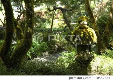 Canadian butchard garden moss garden Canadian butchard garden moss garden 10532845