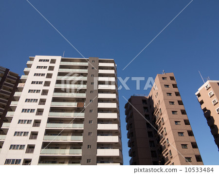 大廈區 10533484