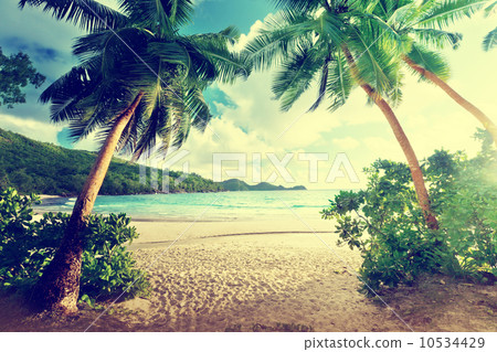 sunset on beach, Mahe island, Seychelles 10534429