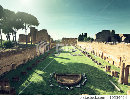 Ruins of Stadium Domitanus at the Palatine Hill in Rome, Italy 10534434