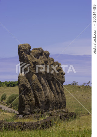 非洲Akibi 10534489