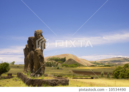 非洲Akibi 非洲Akibi 10534490