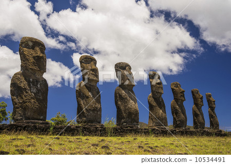 非洲Akibi 非洲Akibi 10534491