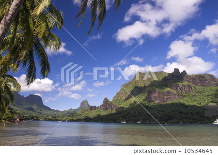 Moorea Bali Hai 10534645