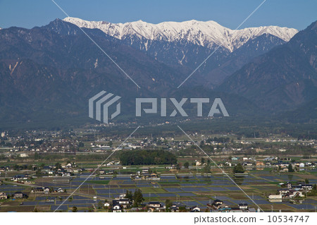 水稻種植時的安曇野 10534747