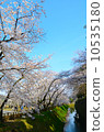 Kanazawa Castle in spring [vertical] 10535180