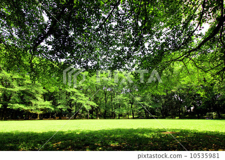 Komaba公園新綠色 Komaba公園新綠色 10535981