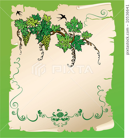 Hand drawn Branch of grapes on old paper scroll. Design for menu Hand drawn Branch of grapes on old paper scroll. Design for menu 10536641