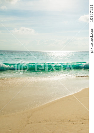 tropical beach tropical beach 10537131