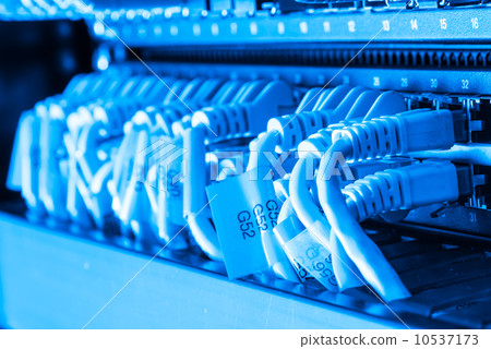 network cables connected to switch 10537173