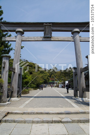 Mega company 10537554