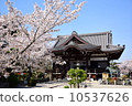 Tachibanaji 10537626
