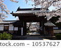 Tachibanaji 10537627
